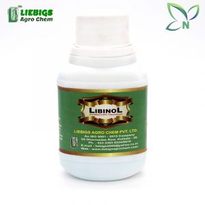 Libinol